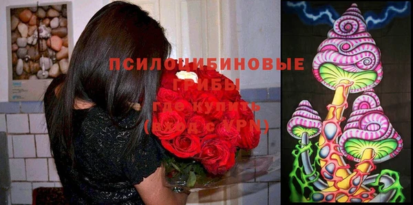 твердый Алзамай