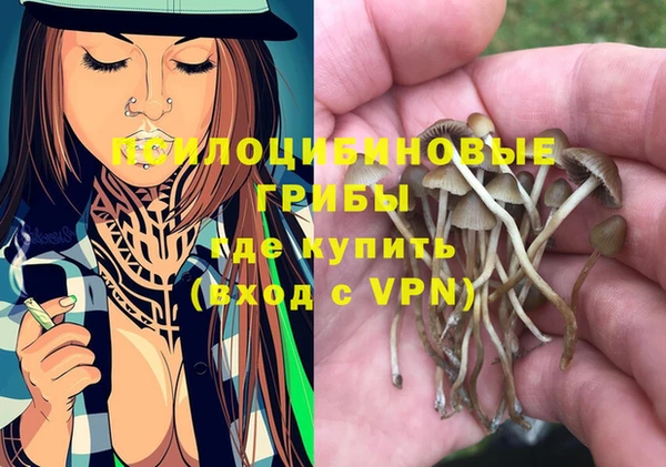 твердый Алзамай